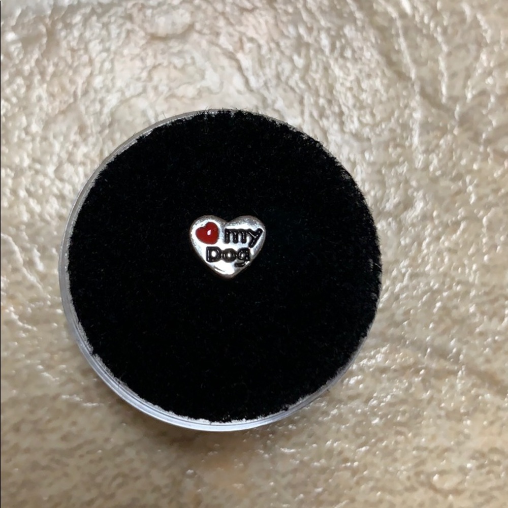 Never used origami owl “❤️ my dog” heart charm